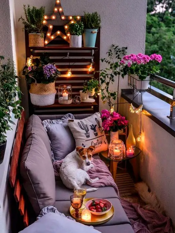 Como decorar varanda pequena com plantas iluminando corretamente
